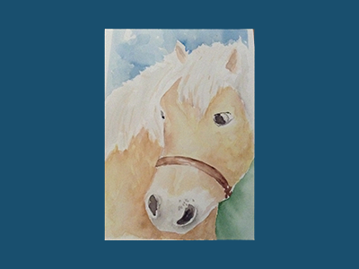 Shetland Pony