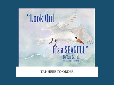 Look Out, It's a Seagull